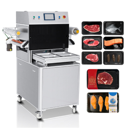 FZ-520TZ Vacuum Skin Packaging Machine