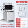 FZ-520TZ Vacuum Skin Packaging Machine